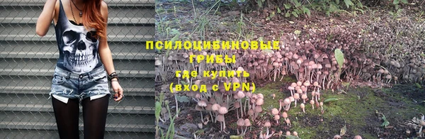 а пвп мука Абаза