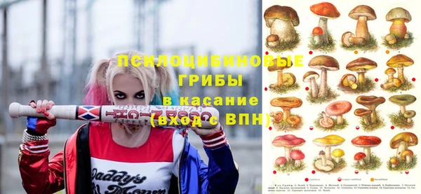 а пвп мука Абаза