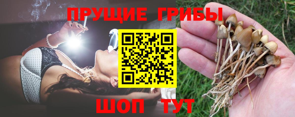 Псилоцибиновые грибы Magic Shrooms  Псилоцибиновые грибы прущие грибы  Благодарный  Вход с VPN 